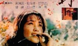 国产国语对白,国语对白演绎的时代风采