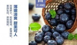 水莓100完全国产免费,国产免费，引领健康生活新潮流