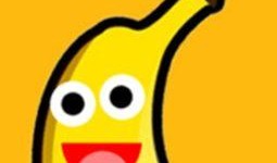 国产视频大香蕉,揭秘国内影视产业的魅力与挑战