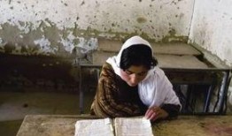 国产欧美非洲免费视频,欧美非洲免费视频大揭秘