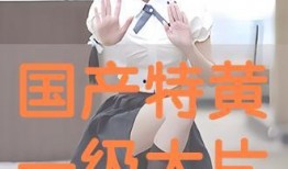 国产特黄大片,揭秘特黄大片背后的故事与影响