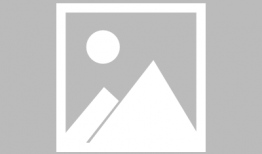 国产汽车最新报价